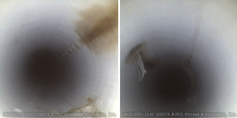 Researchers found irregularities inside colonoscope channels. Left, scratches and discoloration. Right, interior scope lining hanging off and brown discoloration. (Courtesy of Ofstead & Associates Inc., American Journal of Infection Control)