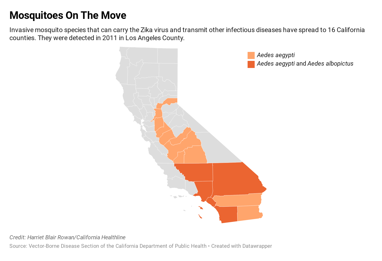 Invasive Mosquitoes Plunge Deeper Into California California Healthline