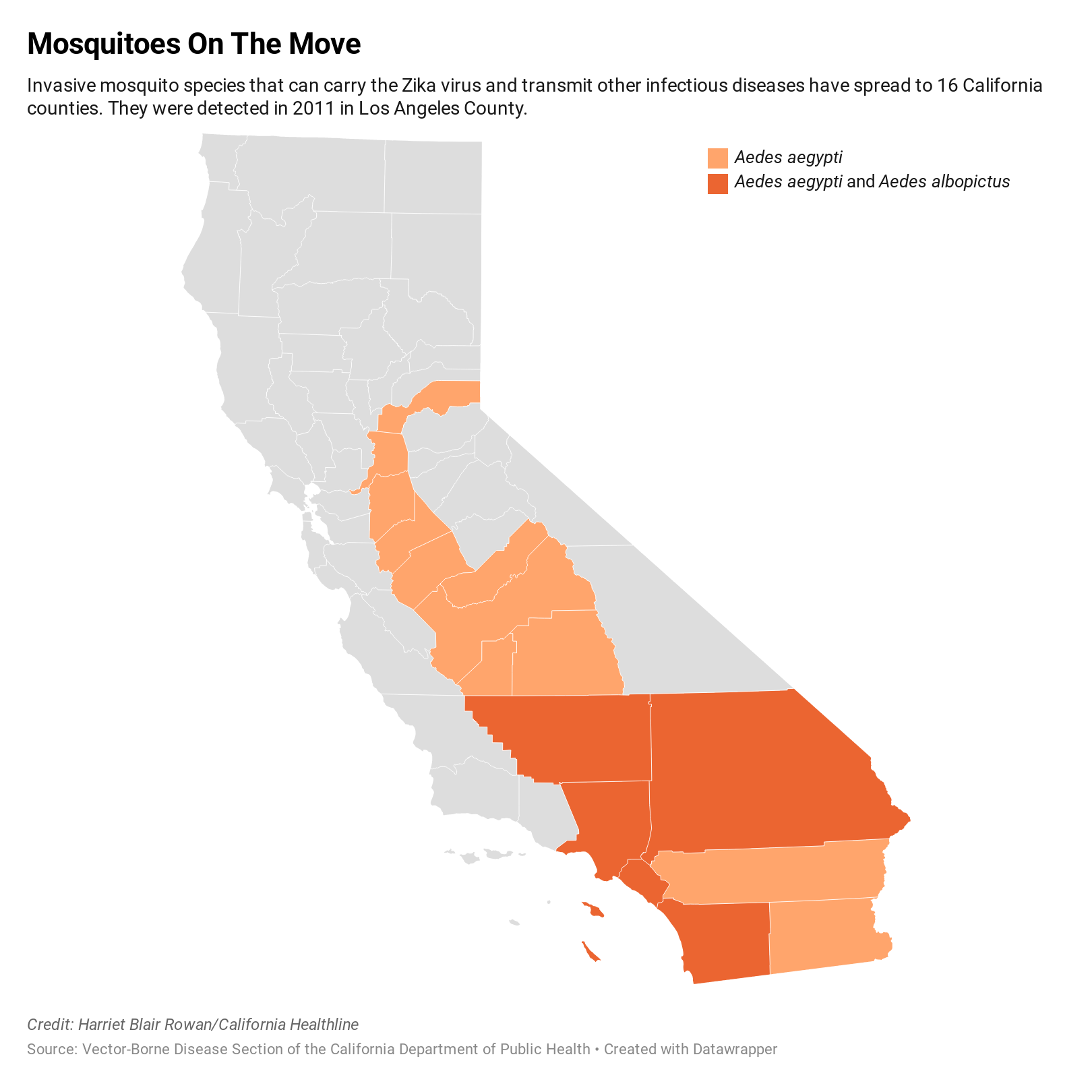 Invasive Mosquitoes Plunge Deeper Into California California Healthline