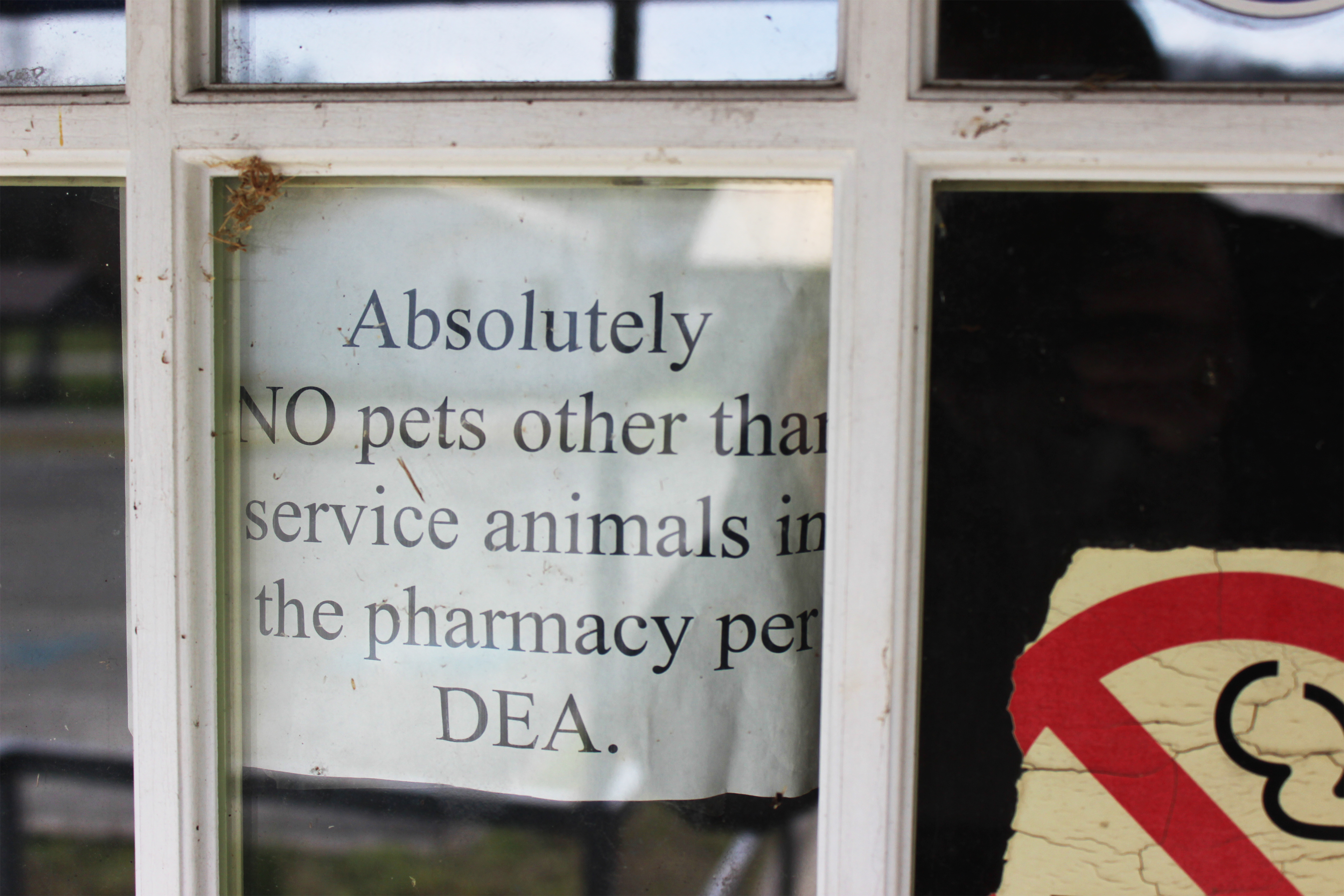 A closeup photo shows a sign on the door of Dale Hollow Policy that reads, "Absolutely no pets other than service animals in the pharmacy per DEA."