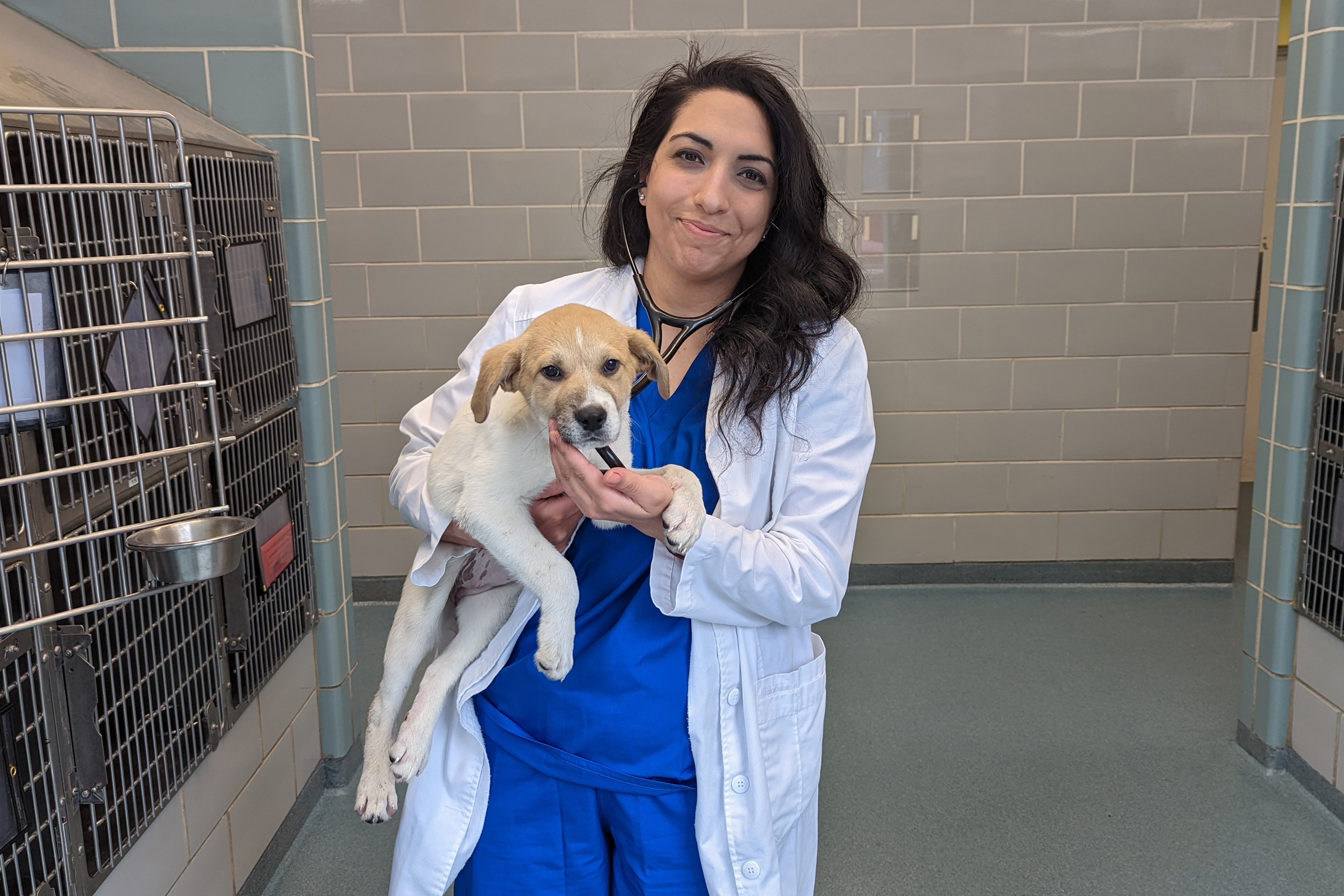 Dr. Razyeeh Mazaheri is seen holding a dog in her arms, smiling at the camera. She's wearing a lab coat and blue scrubs underneath.