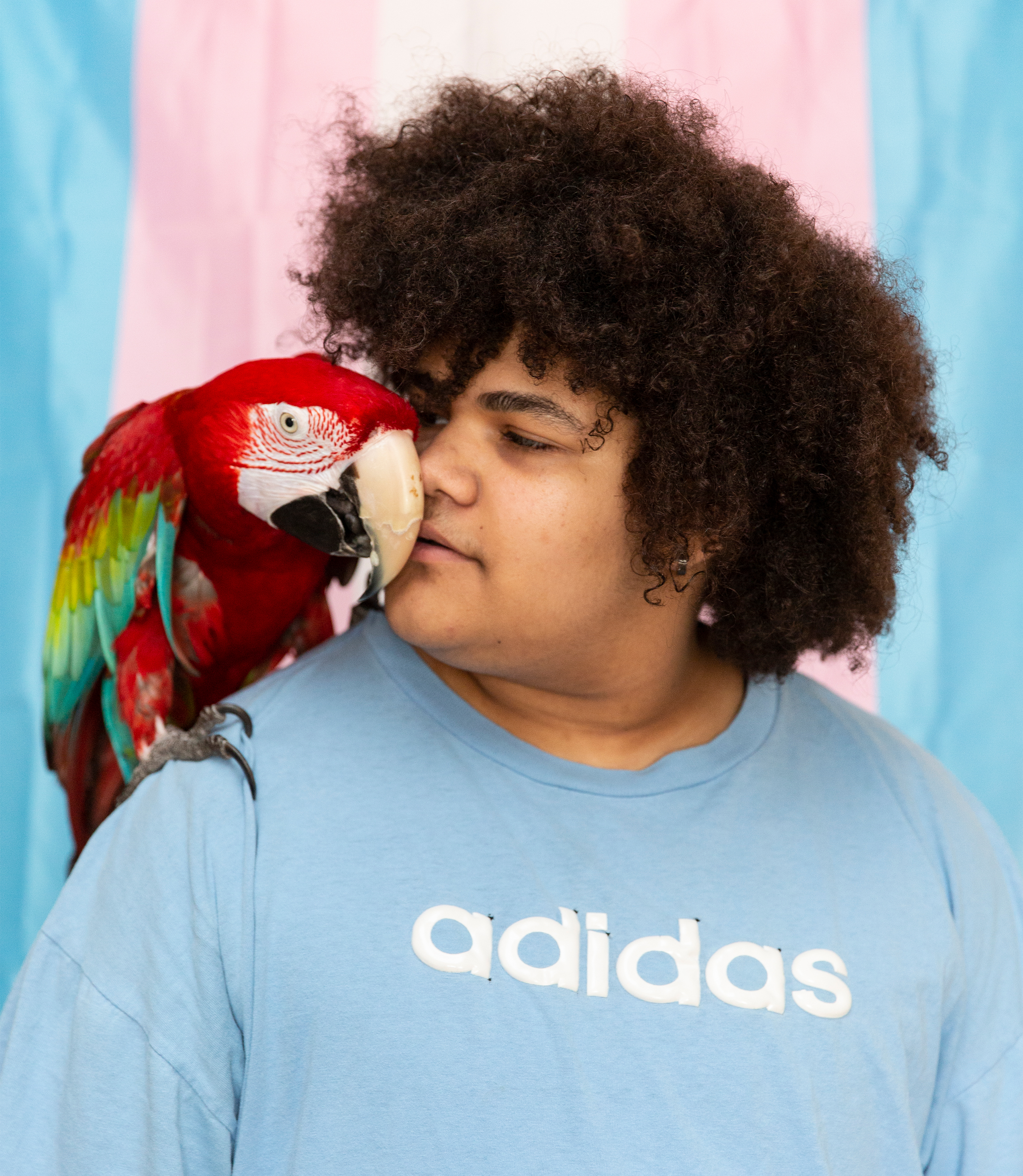 A photo shows Cameron Wright standing with his parrot, Mango, resting on his shoulder. A transgender pride flag fills the background behind him.