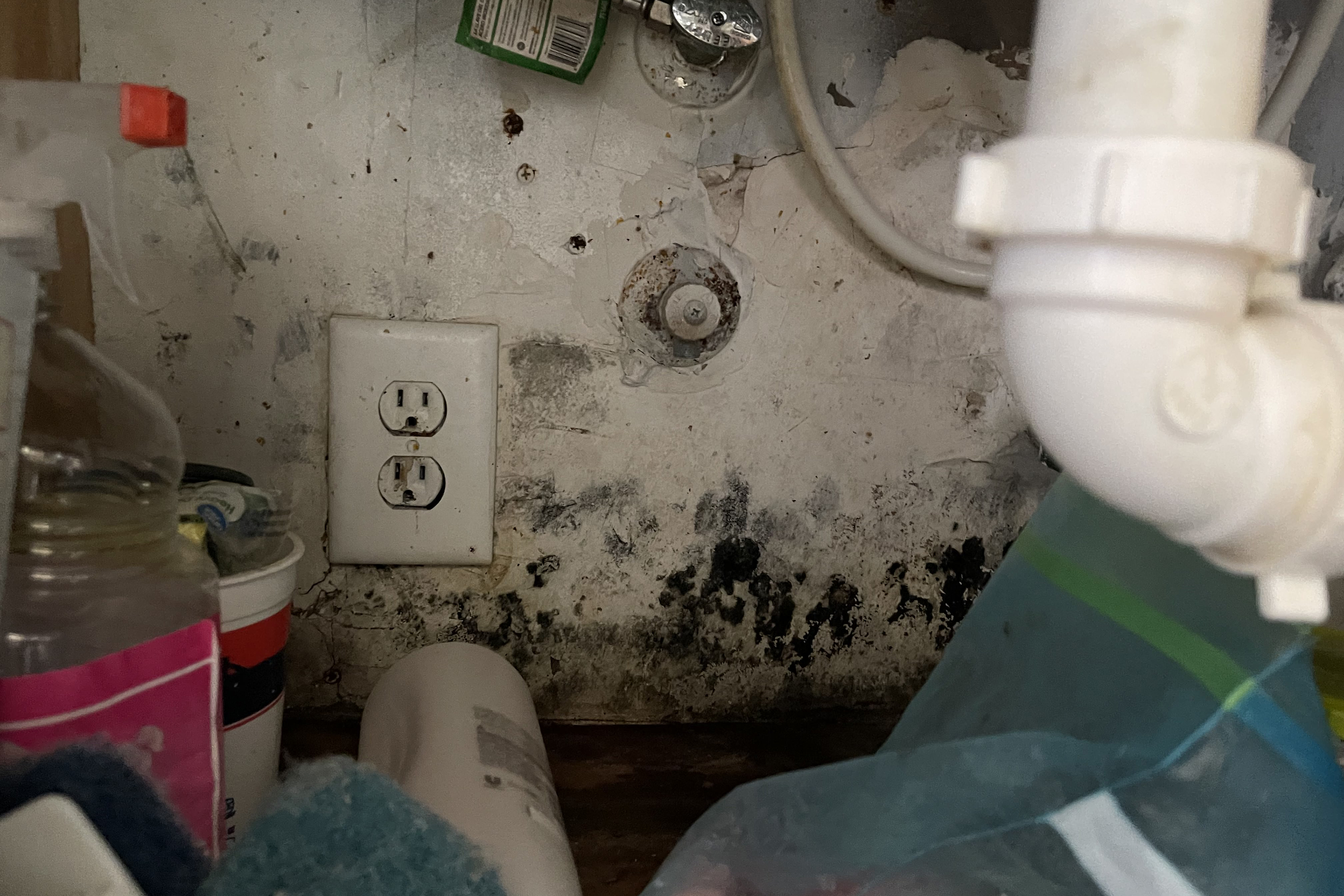 Mold covers the wall underneath a kitchen sink.