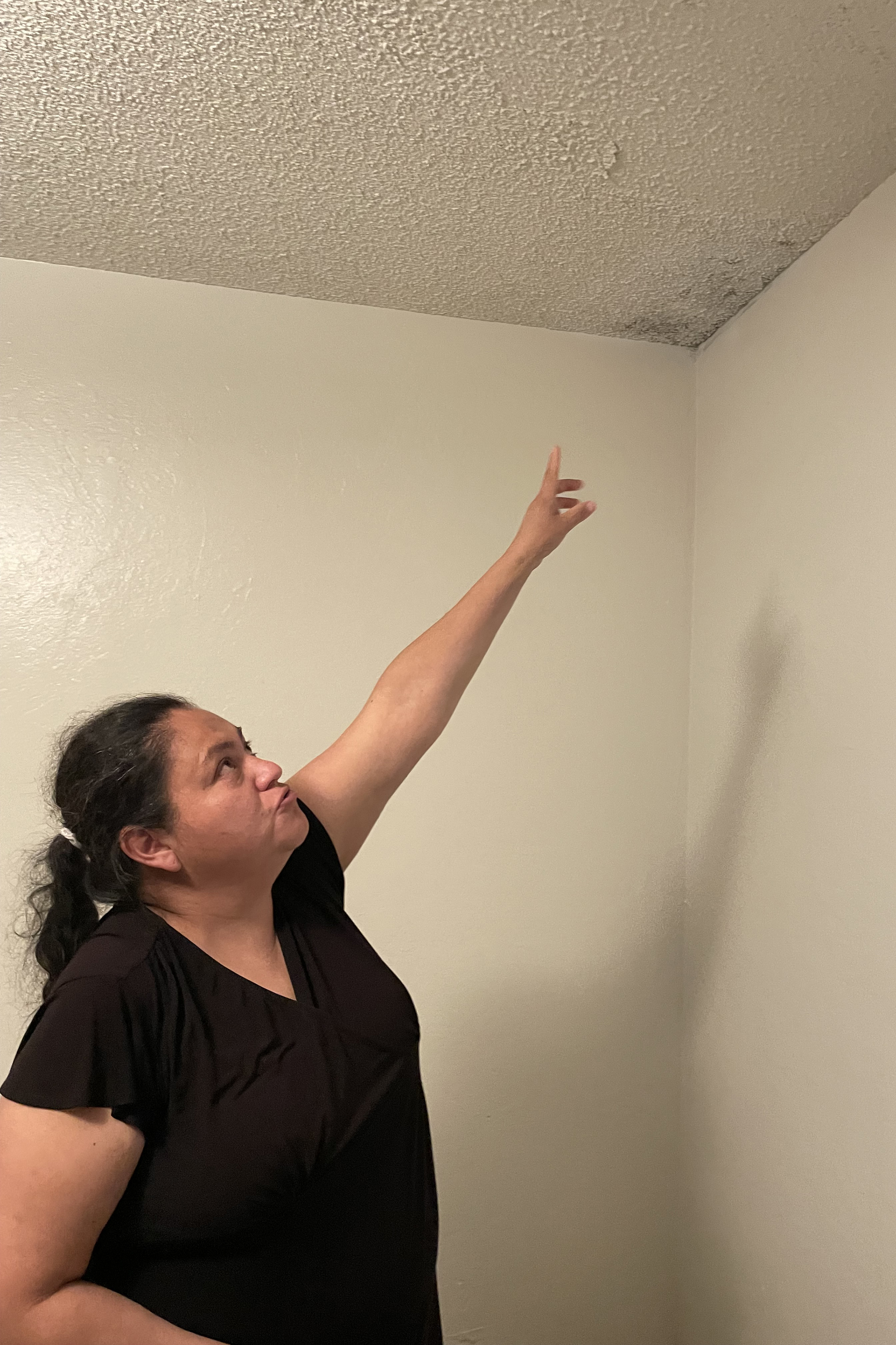 A woman points to the corner of a ceiling.