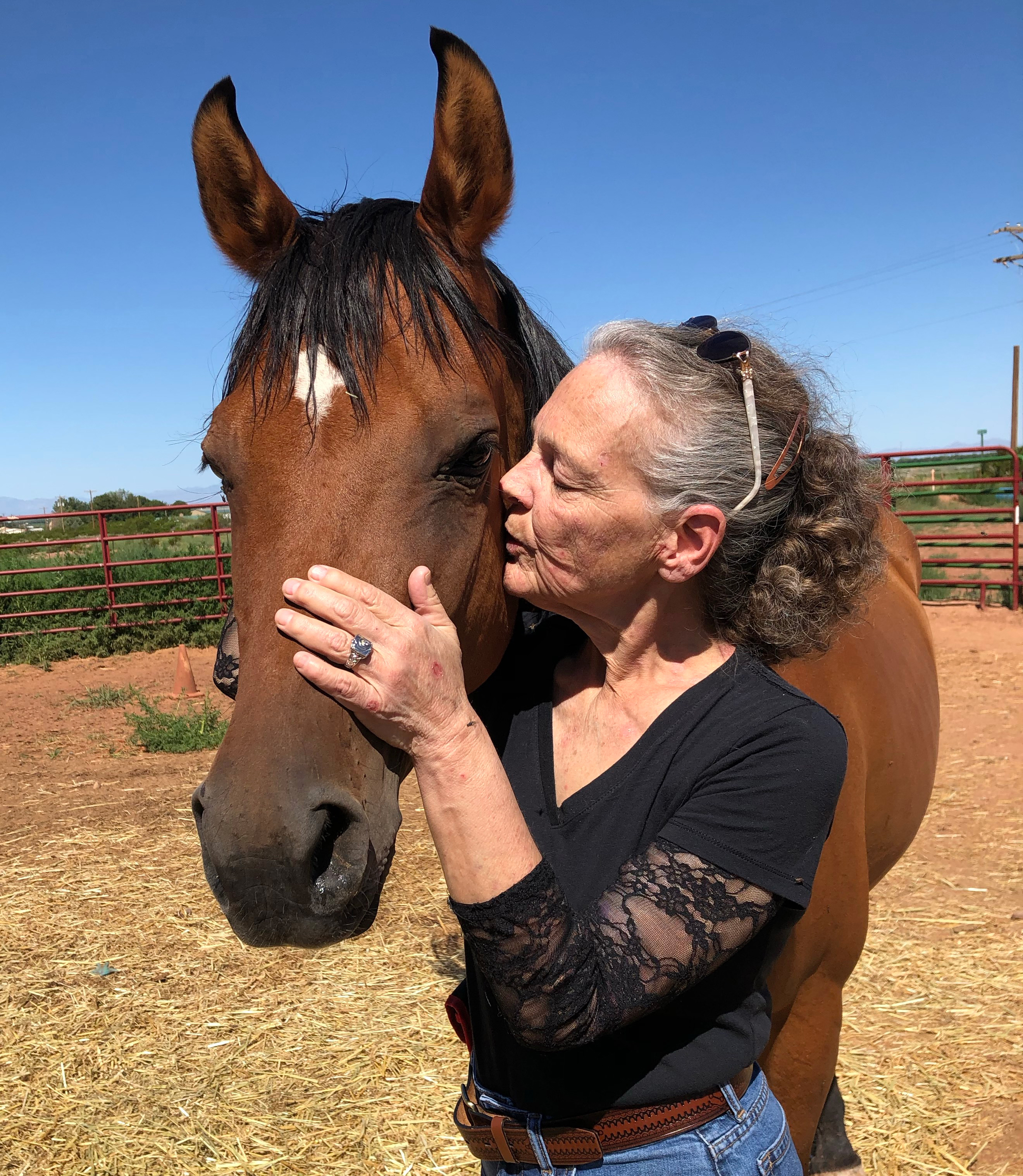 A photo shows Suzanne BeHanna with a horse.