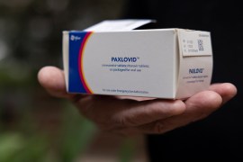 A photo shows a hand holding a box containing Paxlovid pills.