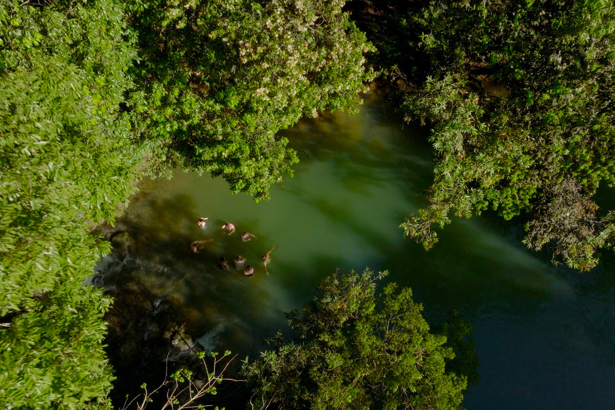 An overhead photo shows people swimming in a river.