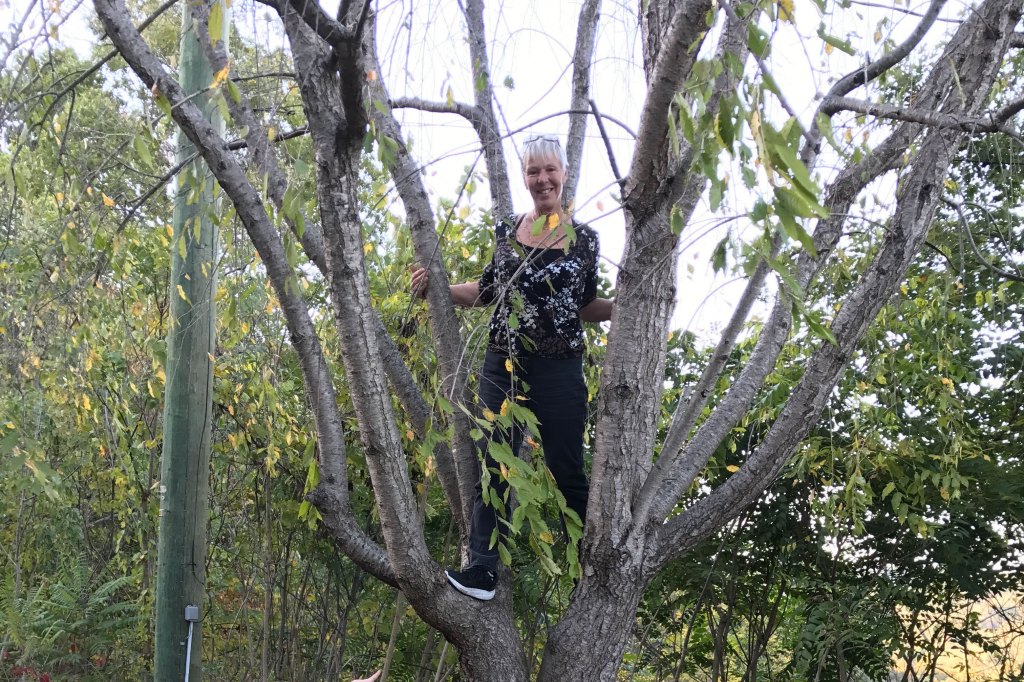 A woman a black and white top with dark pants and sneakers stands on the limbs of a tree.