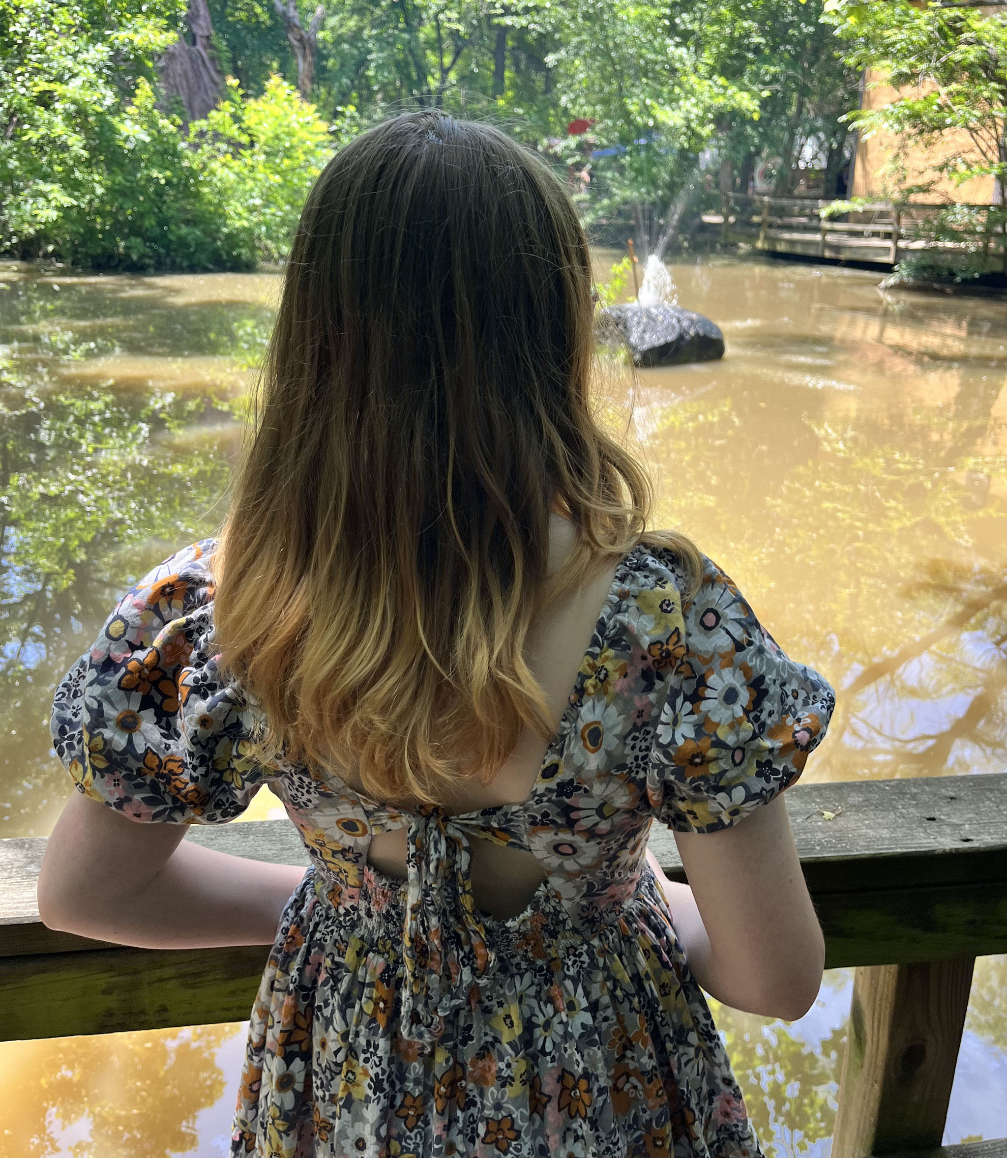 Girl with long brown hair, wearing a dress, looks out over a pond in a wooded area