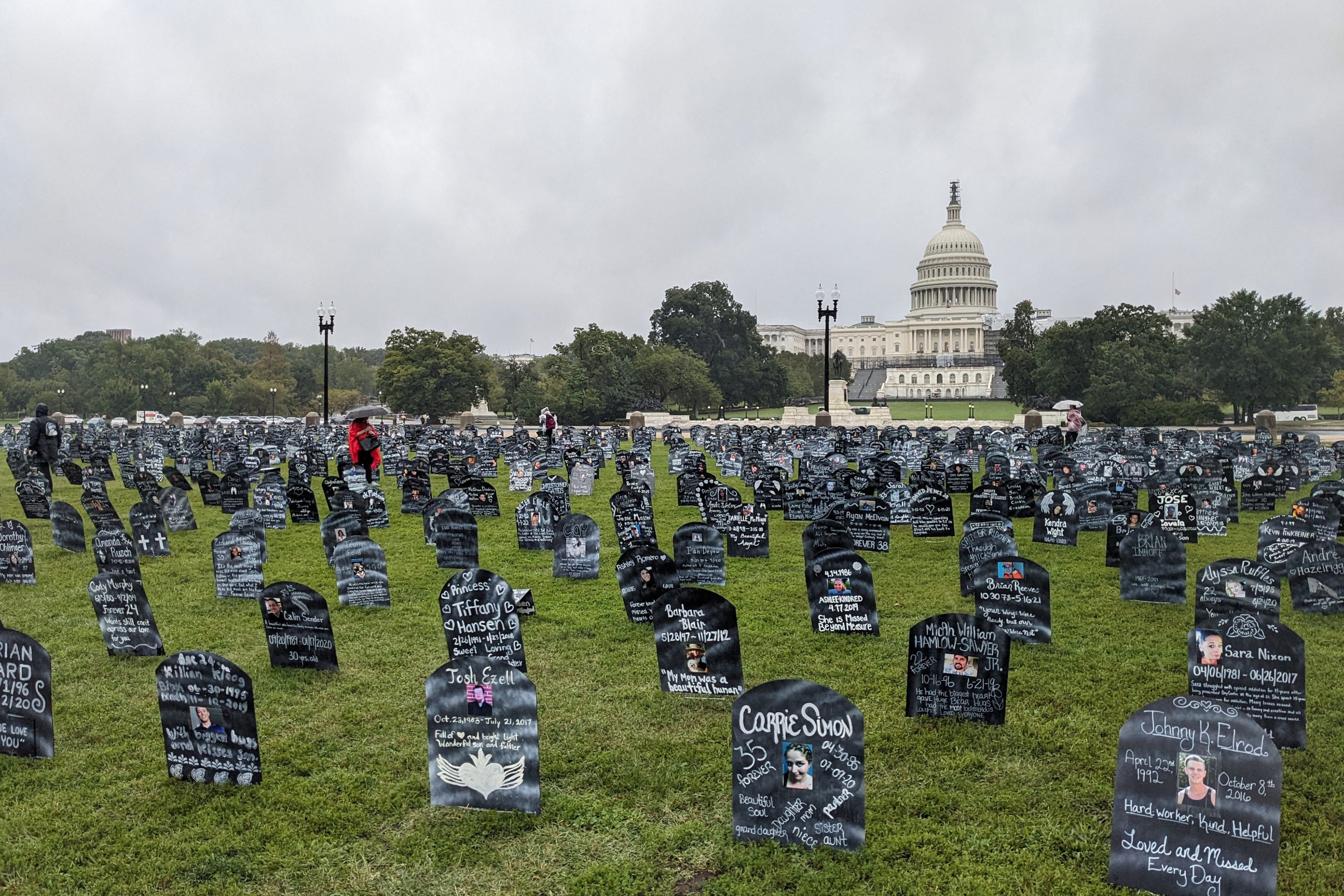 Hundreds of cardboard memorial markers in the shape of tombstones fill the lawn in front of the U.S. Capitol.