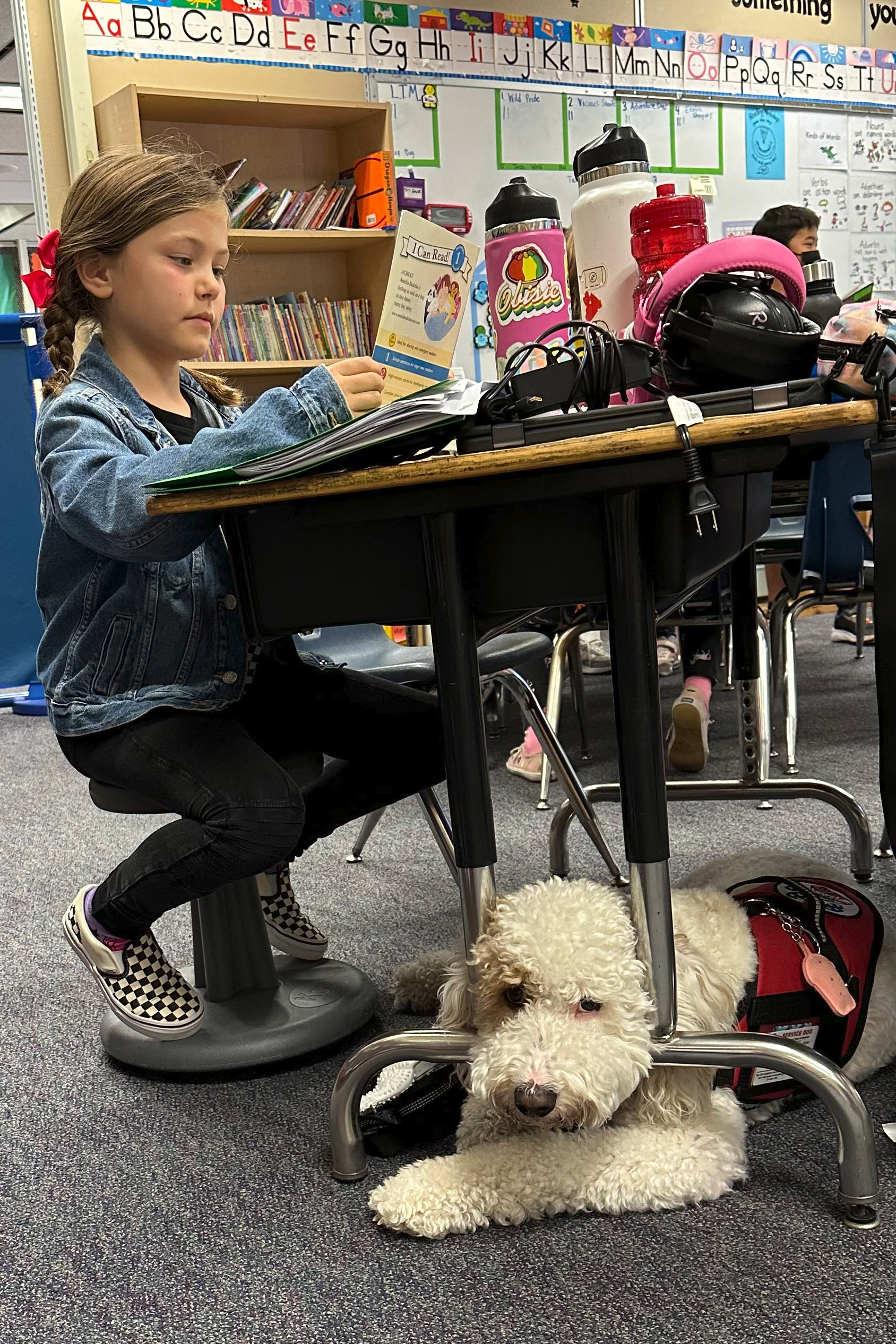 A young girl in elementary school sits at a school desk with a service dog below.