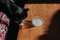 A black and white cat gingerly approaches a bowl of milk or cream.