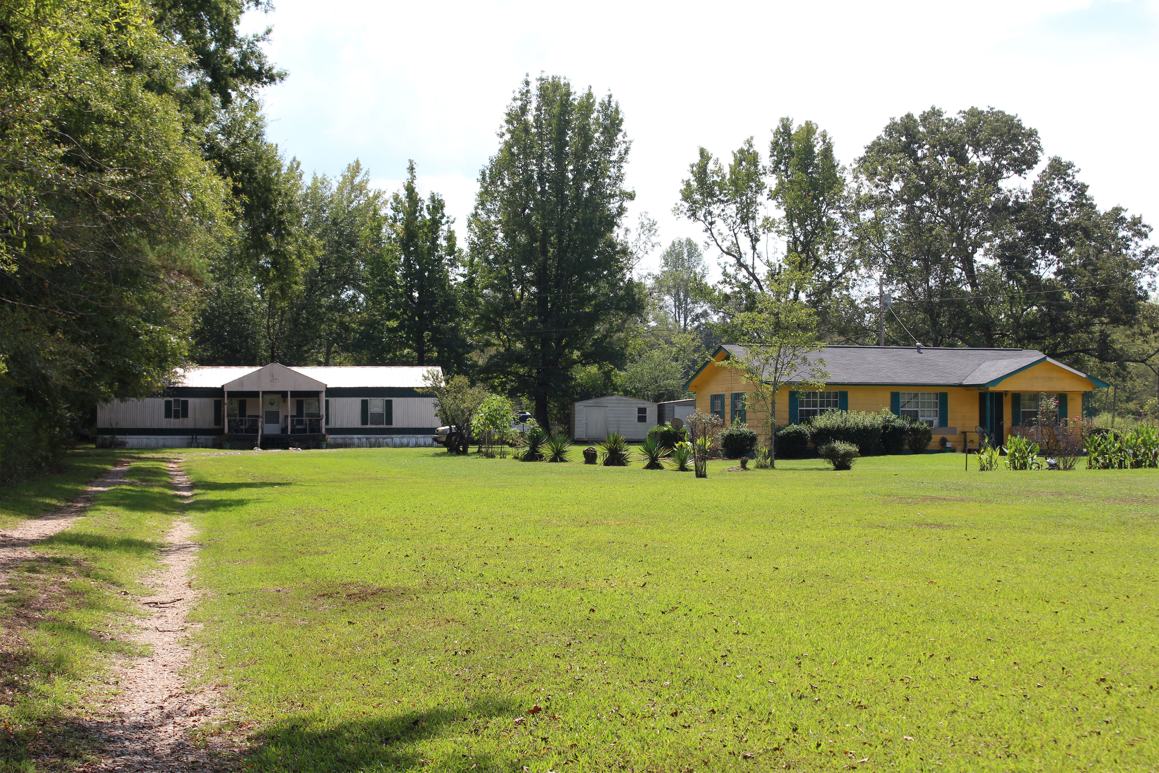 A dirt road leads to single-story white house and a yellow house is to the right. Trees are to the left and behind the houses and a large expanse of grass with a few bushes and plants is in front of the houses.